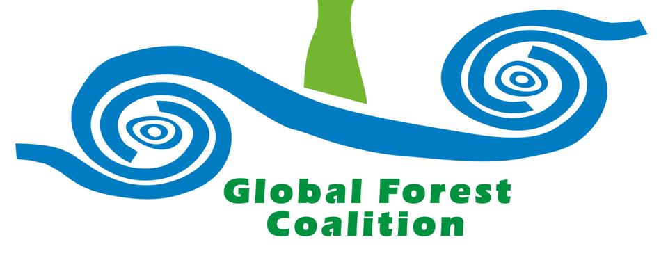 Global Forest Coalition. [DR]