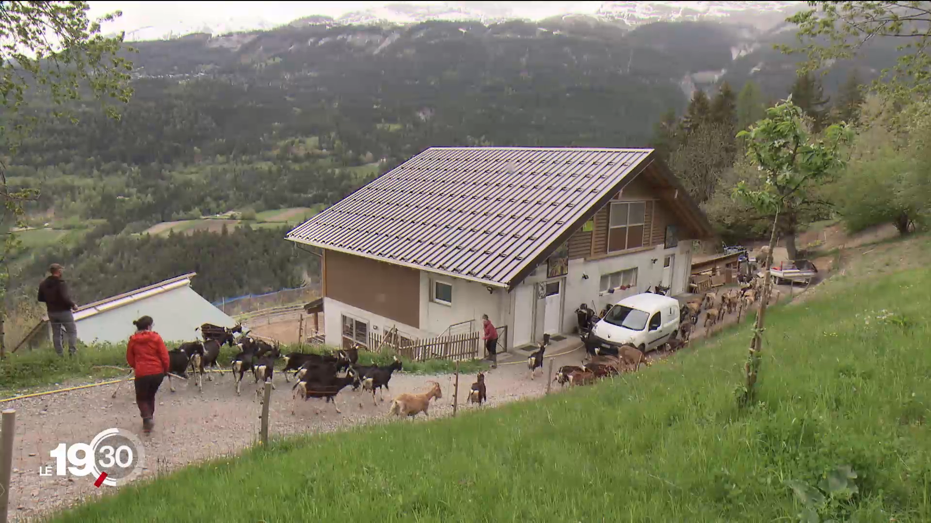 La Fermette à Didi se trouve à Icogne en Valais, à 1100m d’altitude. [RTS]