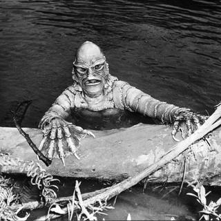 "L'étrange créature du lac noir" de Jack Arnold, 1954. [Archives du 7eme Art / Photo12 via AFP - "L'étrange créature du lac noir" de Jack Arnold, 1954.]