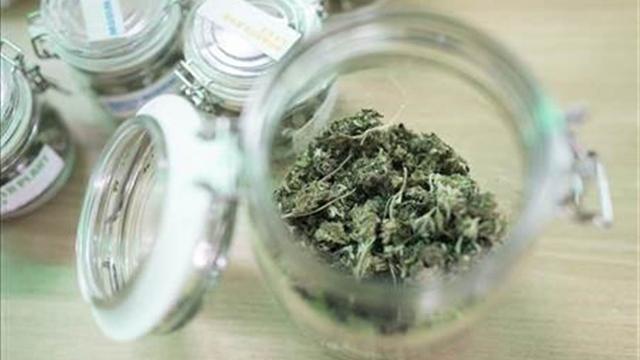 13 kg de cannabis ont été vendus jusqu'à présent à Bâle dans le cadre du projet de vente régulée. [Keystone]