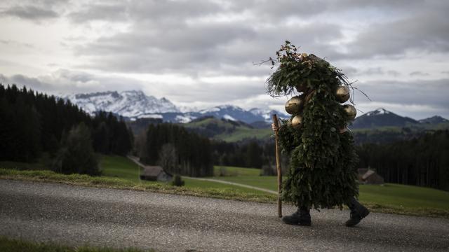 Un homme sapin dans la campagne appenzelloise à l'occasion du Nouvel An fêté ce jour dans le demi-canton. [Keystone - Gian Ehrenzeller]