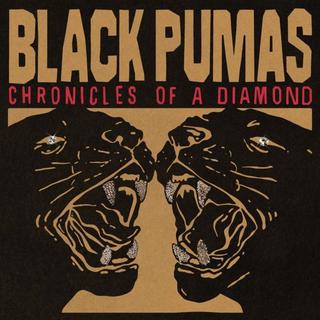 Couverture de l'album "Chronicles of a diamond" des Black Pumas (2023). [Ato Records]