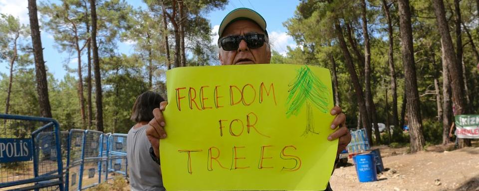 Une homme tient une pancarte "Liberté pour les arbres", lors d'une manifestation contre le projet de déforestation de la forêt d'Akbelen en Turquie, le 8 juin 2023. [AFP - Efekan Akyuz]