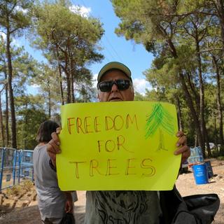 Une homme tient une pancarte "Liberté pour les arbres", lors d'une manifestation contre le projet de déforestation de la forêt d'Akbelen en Turquie, le 8 juin 2023. [AFP - Efekan Akyuz]