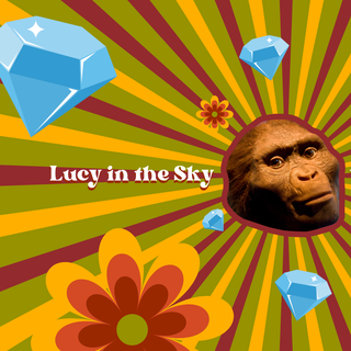 Science en chansons: "Lucy in the Sky with Diamonds" des Beatles. [RTS]