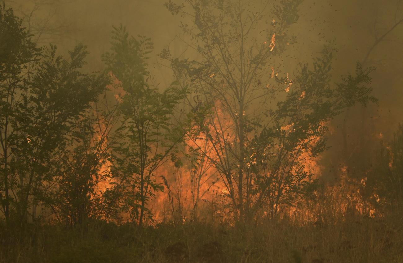 Des flammes brûlent une forêt dans le village de Giannouli, dans la région d'Evros, en Grèce, le jeudi 31 août 2023. [Keystone]