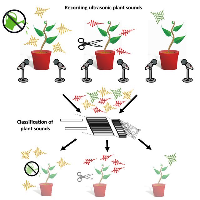 Les sont émis par les plantes communiquent différentes formes de stress. [Revue Cell]