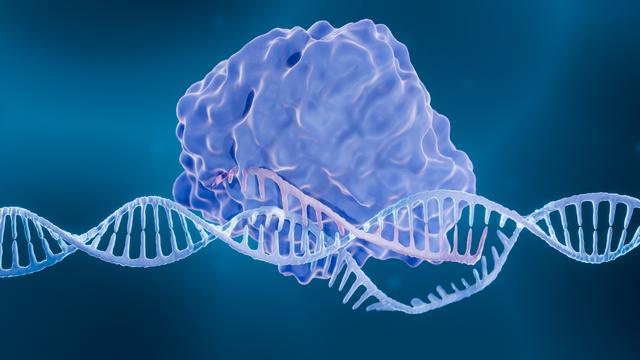 Illustration 3D du "couteau suisse à ADN" CRISPR-Cas9. [AFP - ARTUR PLAWGO / SCIENCE PHOTO LIBRARY / APL]