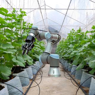 Robot intelligent installé dans la serre. Pour les soins et aider les agriculteurs à récolter le melon, ferme intelligente sur l'agriculture 4.0 concept. [Depositphotos - ©Chiradech]