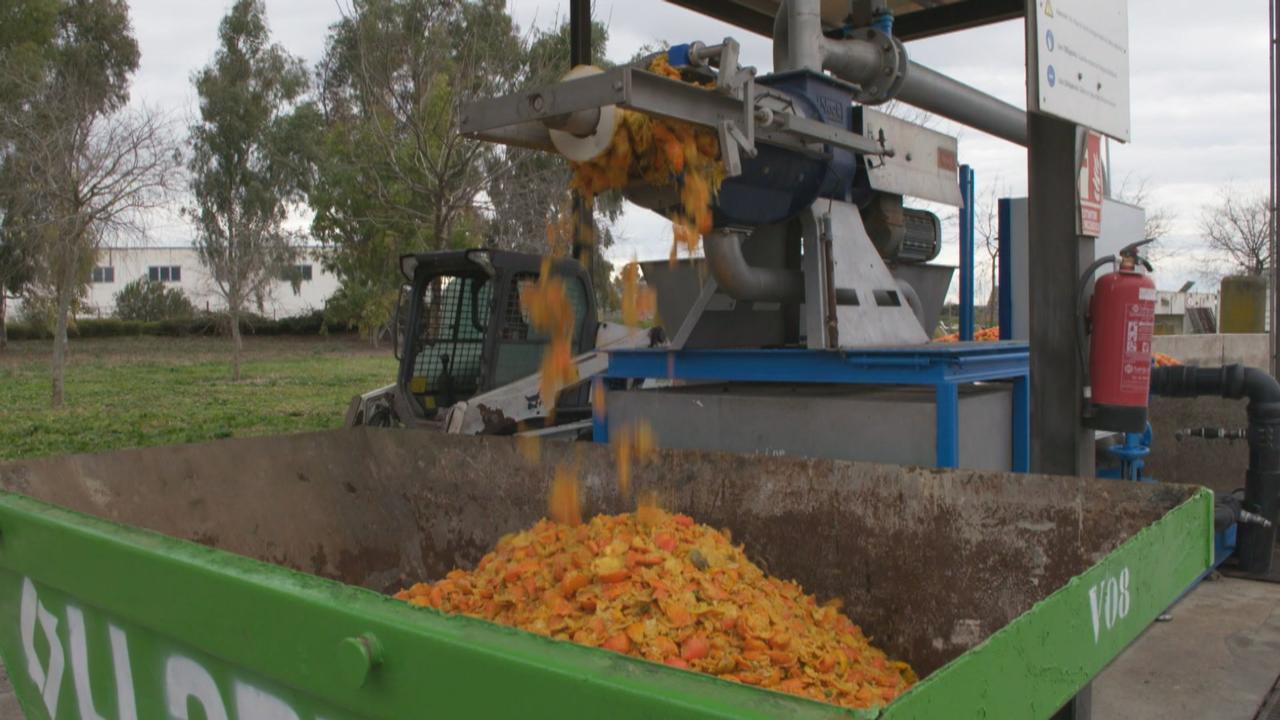 Au lieu de jeter une partie des oranges de ses espaces publics, Séville a décidé de les transformer en énergie. [RTS]