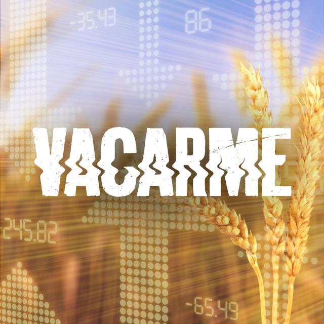 Vacarme - Blé: l’appât du grain. [Depositphotos - billiondigital]
