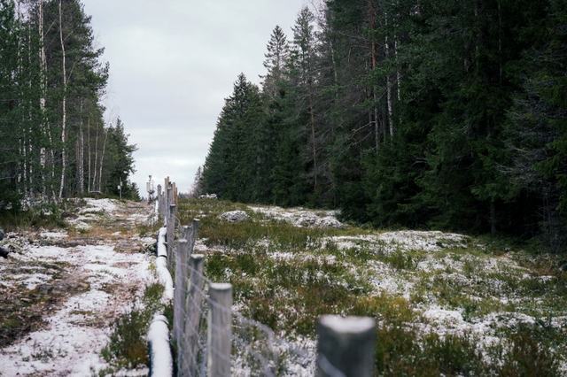 Frontière entre la Finlande et la Russie près d'Imatra. [AFP - Alessandro Rampazzo]