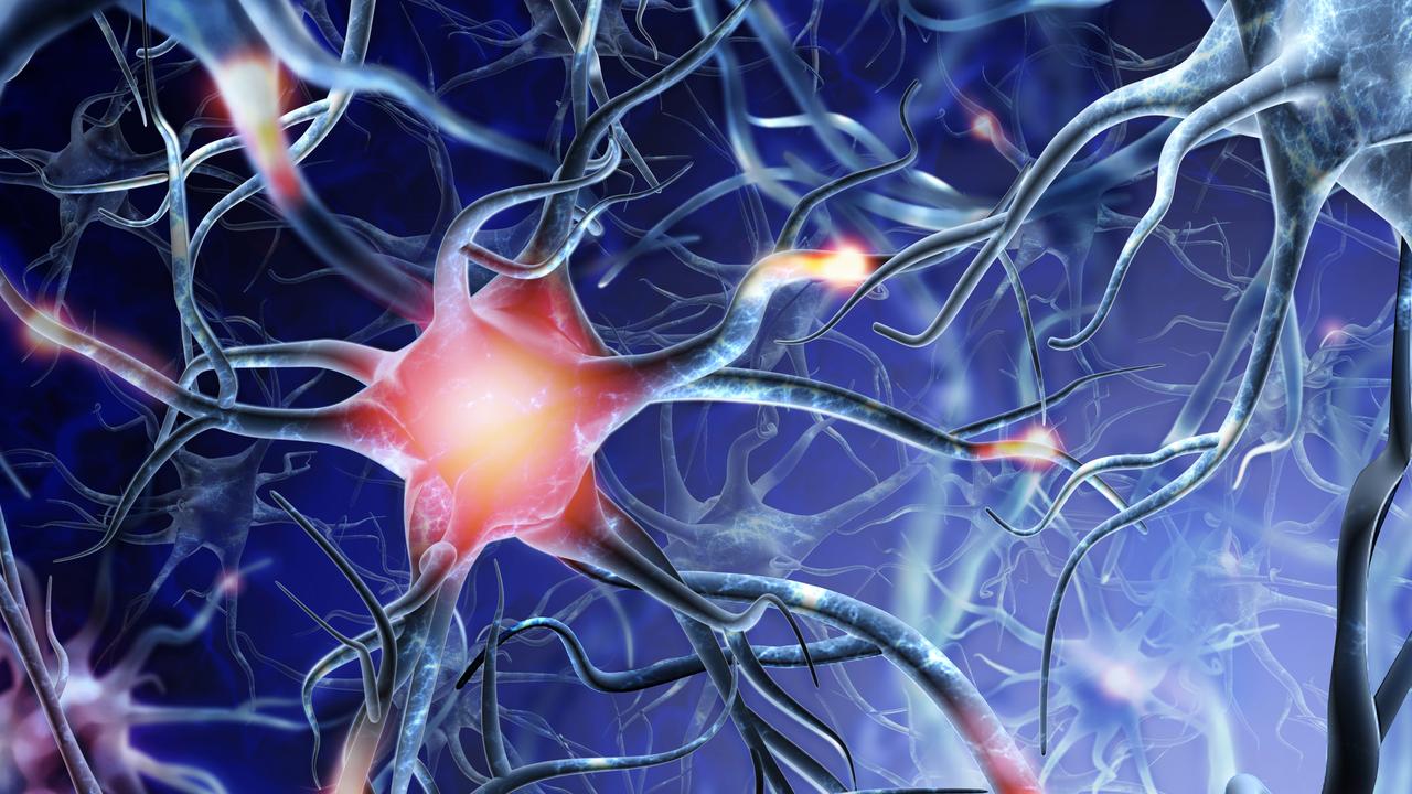 La nouvelle plateforme de neurosciences cellulaires humaines NeuroNA voit le jour [Depositphotos - 100502500]