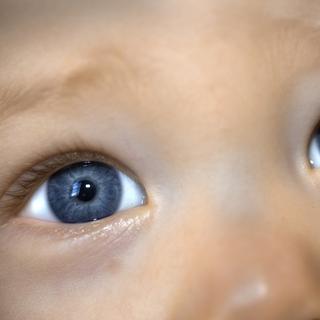 Des yeux de bébé. [Depositphotos - stu99]