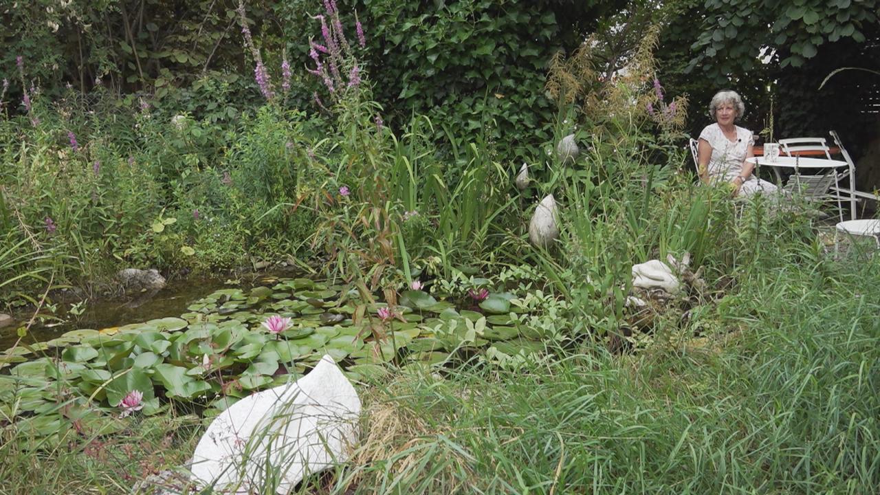 Le jardin de Gina Baumann est un exemple en matière de biodiversité. [RTS]