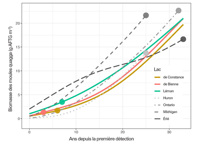 Calcul de la biomasse des moules quagga par mètre carré sur une période de 33 ans depuis sa première détection. Les points représentent la situation en 2022. [EAWAG - Kraemer et al., 2023, adaptée]