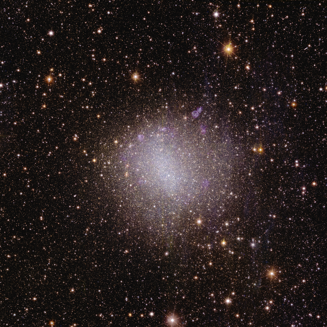 NGC 6822, également appelée la galaxie de Barnard, est une galaxie irrégulière barrée, magellanique et naine. Elle est située dans la constellation du Sagittaire. [ESA/Euclid/Euclid Consortium/NASA - image processing by J.-C. Cuillandre (CEA Paris-Saclay), G. Anselmi; CC BY-SA 3.0 IGO]