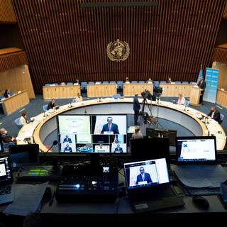 La 74e Assemblée mondiale de la santé de l'OMS a débuté lundi à Genève. [OMS - Christopher Black]