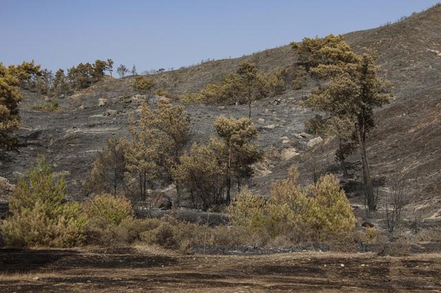 En Grèce, le front des incendies est désormais plus calme après les violents feux de ces dernières semaines, notamment sur l’île de Rhodes. [afp - STR]