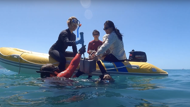 L'équipe de Roman Lehner sont en train de préveler des échantillons de nanoplastiques dans l'océan près des Îles Whitsundays en Australie. [Sail and Explore Association]