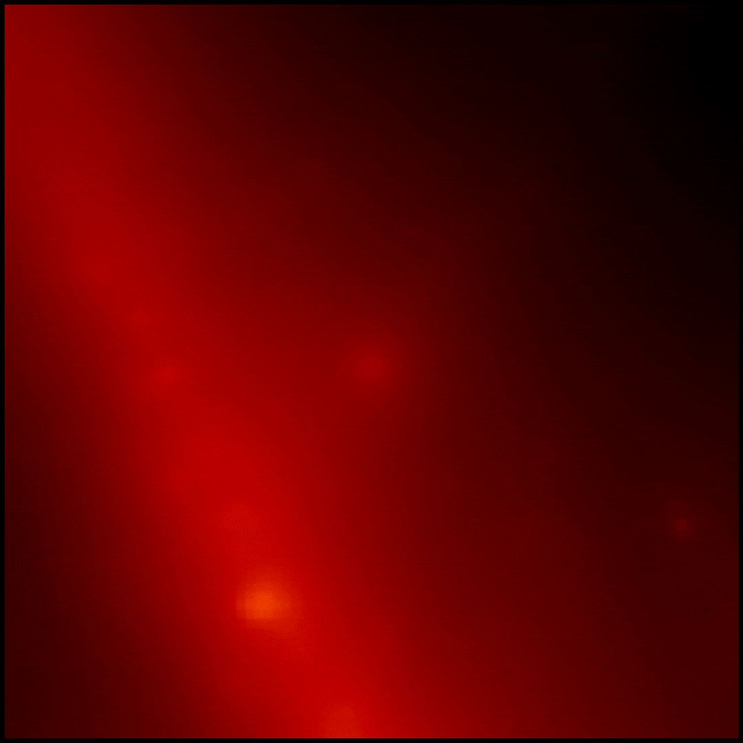 Cette séquence révèle le ciel en rayons gamma centré sur l'emplacement du GRB 221009A. Chaque image montre des rayons gamma d'une énergie supérieure à 100 millions d'électronvolts (MeV), les couleurs les plus vives indiquant un signal de rayons gamma plus fort. Au total, ces images représentent plus de 10 heures d'observation. La lueur provenant du plan médian de notre Voie lactée apparaît sous la forme d'une large bande diagonale. [NASA - DOE/Fermi LAT Collaboration]