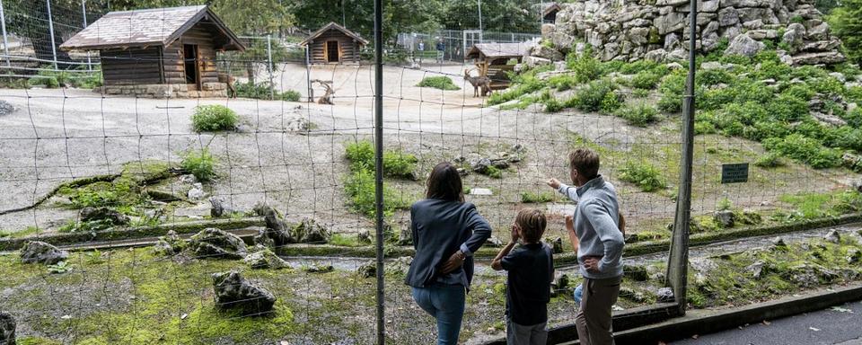 Le parc zoologique du Muzoo est fermé jusqu'à nouvel avis à cause de la tornade qui a frappé La Chaux-de-Fonds, rendant l'accès au parc trop dangereux (image d'illustration). [Muzoo - Andre Meier (Suisse Tourisme)]