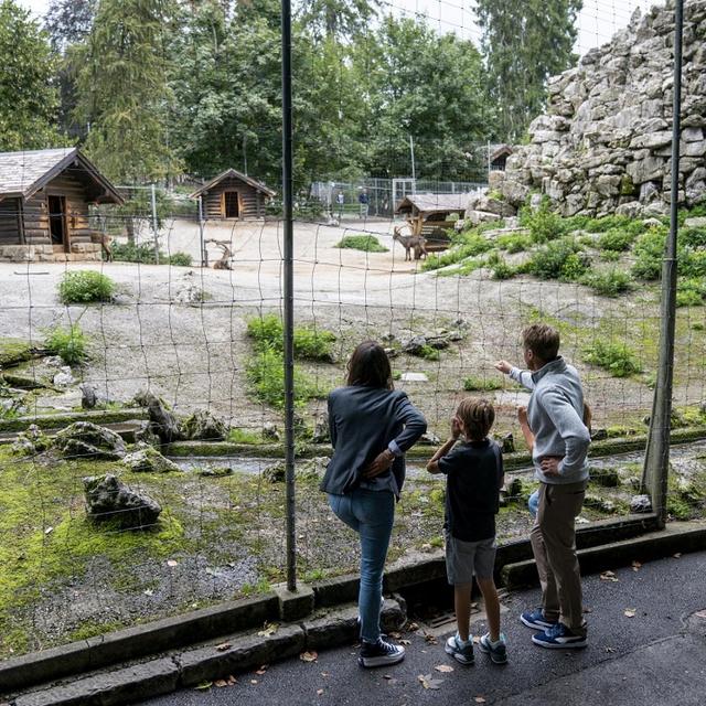 Le parc zoologique du Muzoo est fermé jusqu'à nouvel avis à cause de la tornade qui a frappé La Chaux-de-Fonds, rendant l'accès au parc trop dangereux (image d'illustration). [Muzoo - Andre Meier (Suisse Tourisme)]