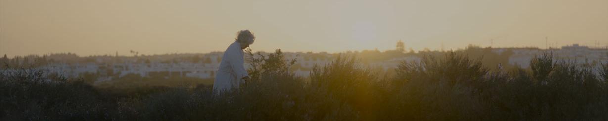 Une image du film "Le vent qui siffle dans les grues", un long métrage de Jeanne Waltz. [RTS - C.R.I.M Produções / Box Productions]