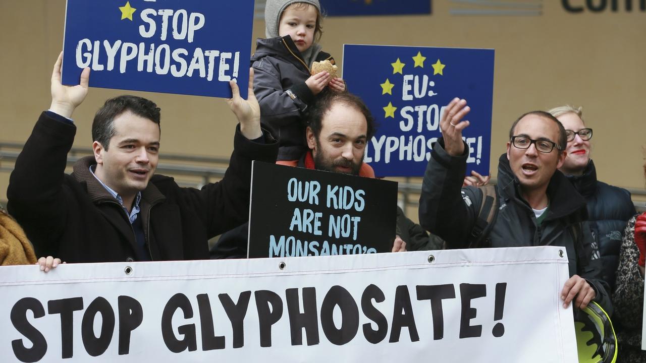 Le glyphosate, désherbant controversé, reste autorisé dans l'UE [EPA/Keystone - OLIVIER HOSLET]