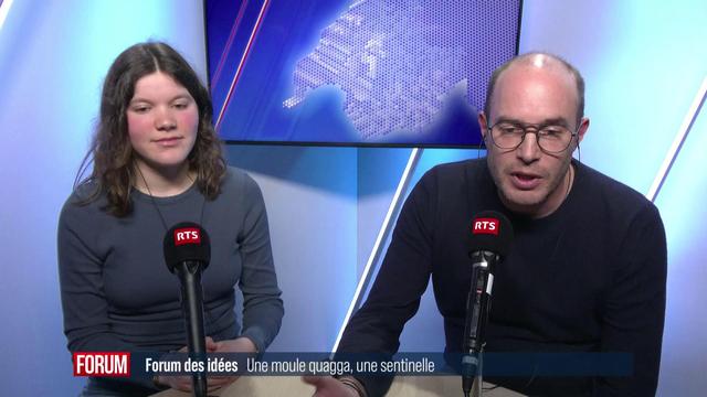 Interview de Alexandre Aebi, professeur en biologie à l'université de Neuchâtel, et Noémie
Blandenier, chercheuse. [RTS - RTS]