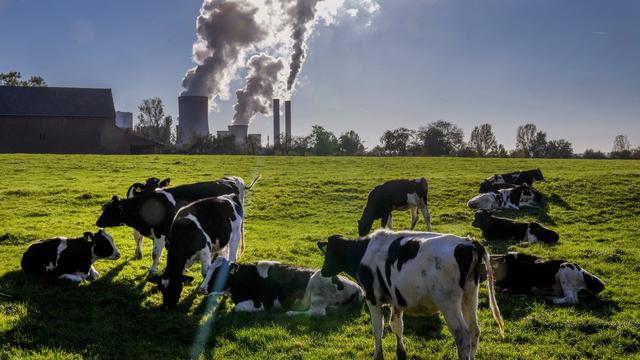 Les émissions de CO2 produites par l'utilisation du charbon, du gaz et du pétrole dans le monde pour se chauffer, s'éclairer ou rouler devraient franchir un nouveau record en 2023. [Michael Probst]