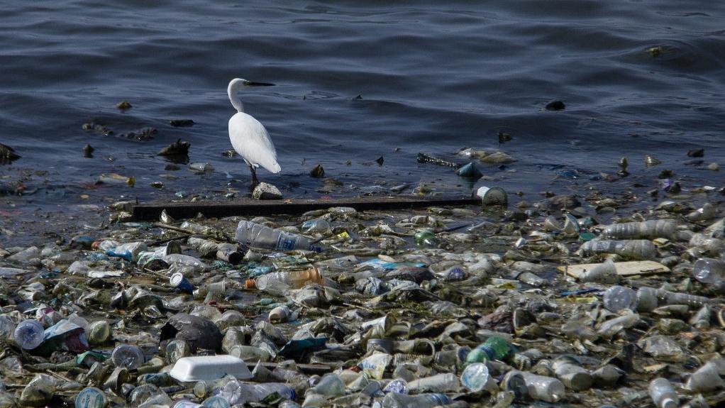 La pollution plastique des océans du globe a atteint des "niveaux sans précédent" depuis 15 ans. [AFP - Zick Maulana / NurPhoto]
