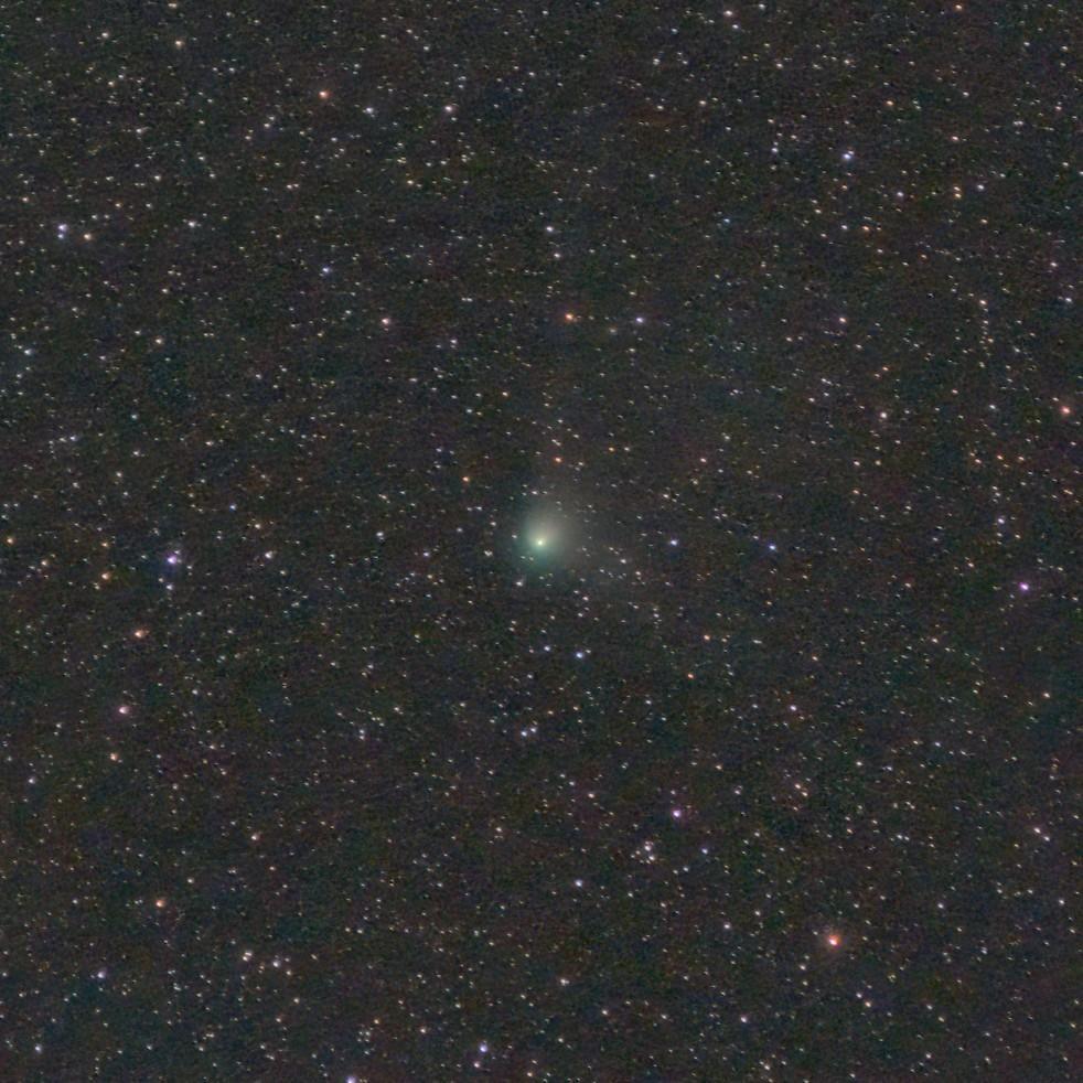 La comète C/2022 E3 (ZTF) photographiée par un astronome amateur depuis Genève, le 1er février 2023. [Société Astronomique de Genève - Sylvain Chapeland]