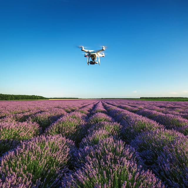 Des drones butineurs dʹADN. [depositphotos - valio84sl]