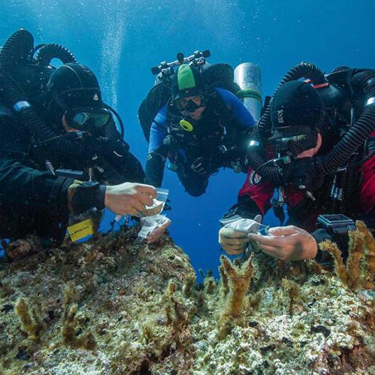 L'épave d’Anticythère est la plus riche épave antique jamais découverte en Grèce. [https://www.esag.swiss/fr/underwater-research/]