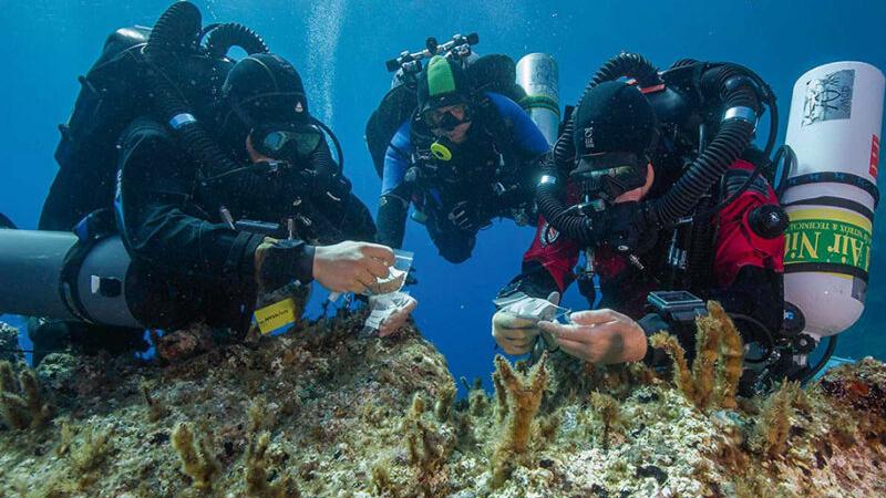 L'épave d’Anticythère est la plus riche épave antique jamais découverte en Grèce. [https://www.esag.swiss/fr/underwater-research/]