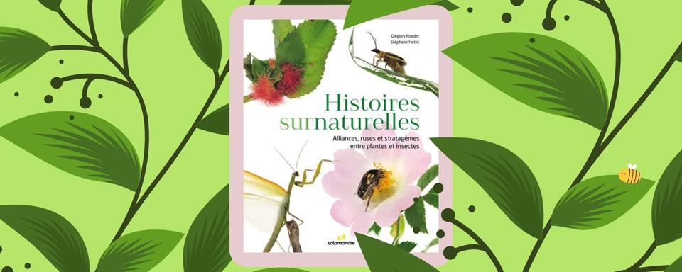 Le livre "Histoires surnaturelles: Alliances, ruses et stratagèmes entre plantes et insectes" (Éditions Salamandre, 2022). [Montage RTS - Éditions Salamandre]