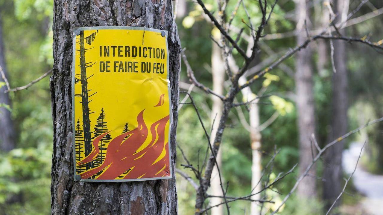 Vaud et le Valais interdisent mardi les feux en plein air en raison d'un fort danger d'incendie. [Keystone]