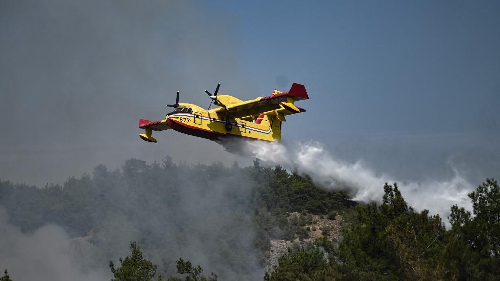 En Grèce, la forêt de Dadia est en proie des flammes depuis plusieurs jours. [AFP - Sakis Mitrolidis]