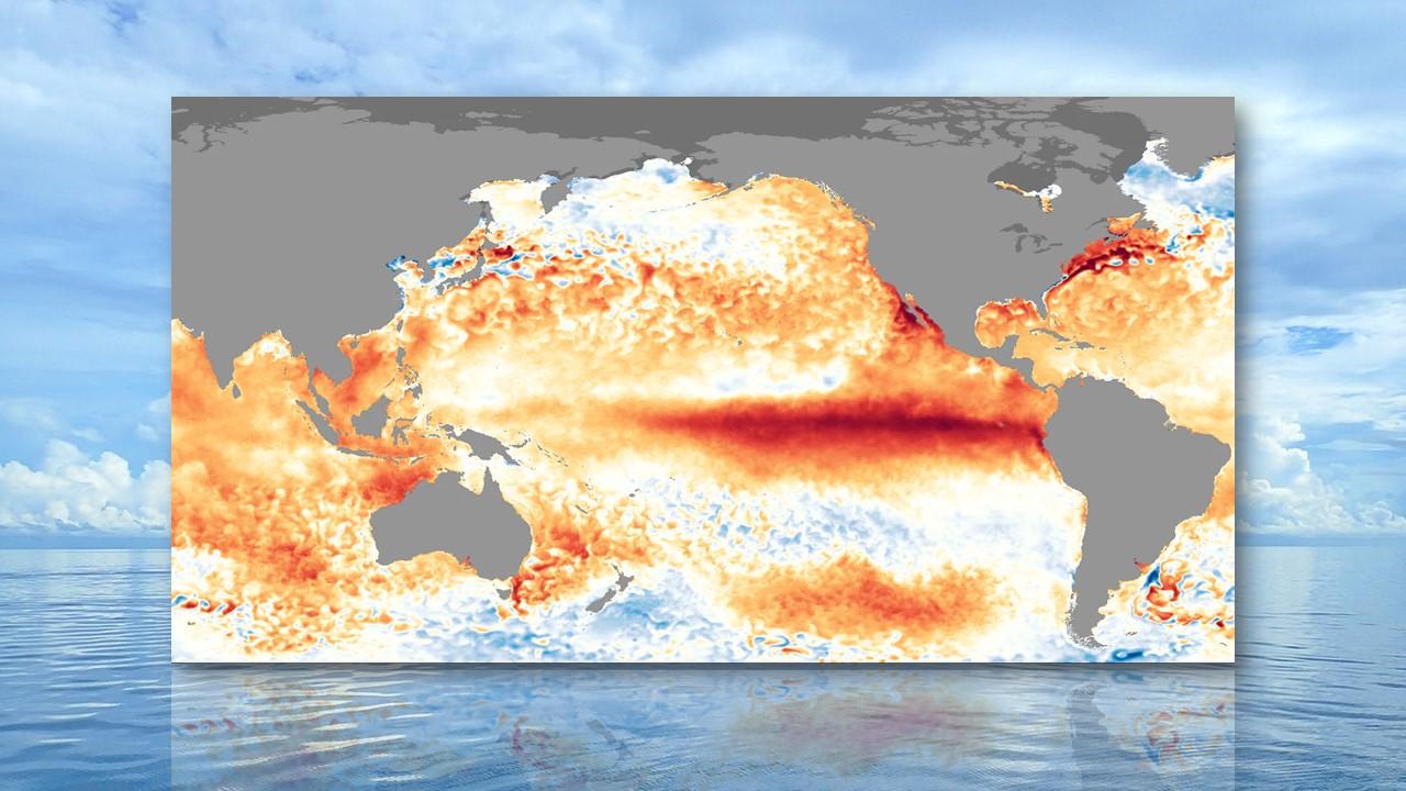 Anomalies de températures à la surface de l'océan pendant l'épisode El Niño de 2016. [CPC/NOAA - Jean Ducame /Wikipedia]