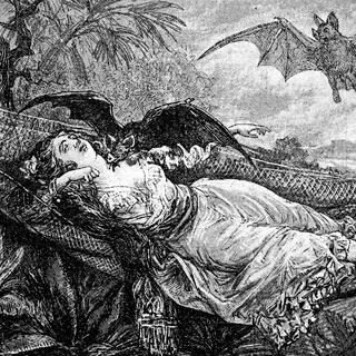 "Des vampires s'attaquant à une femme endormie, en Amérique du Sud." Gravure, 1882. [AFP - ©Collection Roger-Viollet]