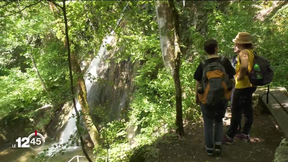 La Neuveville: le sentier de la sorcière propose cueillette et cuisine de plantes sauvages aux vertus magiques