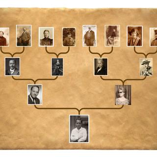 Un arbre généalogique retraçant l'histoire d'une famille. [Comment se lancer en généalogie?]