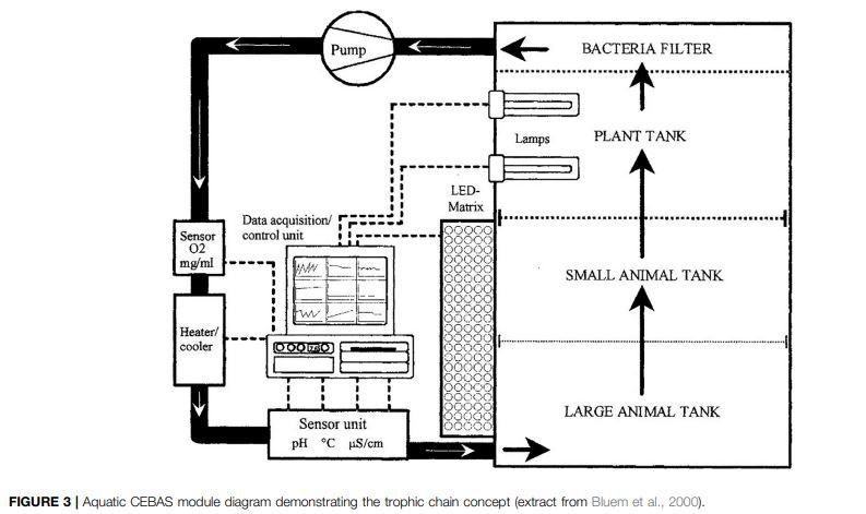 Un diagramme d'un système aquatique biologique fermé et équilibré démontrant le concept d'une chaîne trophique, avec un bassin pour les grands animaux (en bas à droite), un pour les plus petits (au milieu), un pour les plantes avec des lampes et, tout en haut, un filtre à bactéries. [Université de Montpellier - Bluem & al., 2000]
