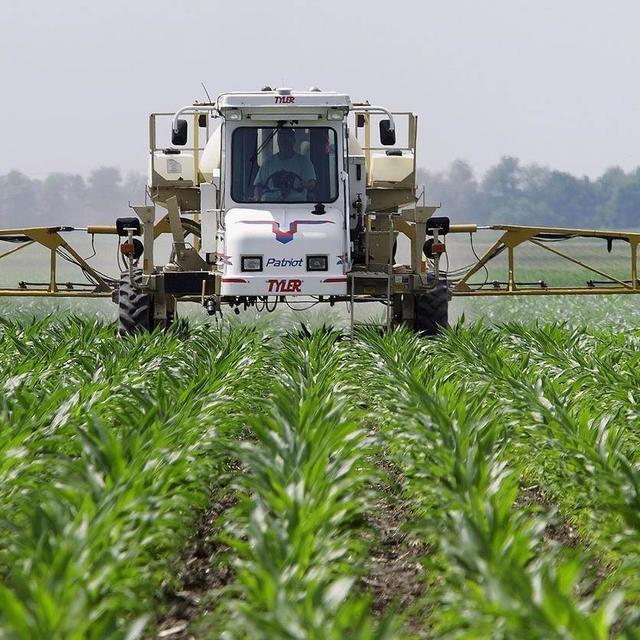 Les Etats membres de l'Union européenne n'ont pas trouvé d'accord sur l'utilisation du glyphosate. [Keystone]