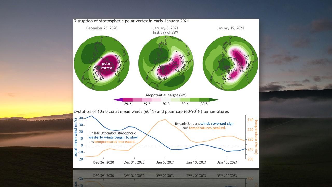 Evolution du vortex polaire en janvier 2021 [Climate.gov - Daniel Gross]