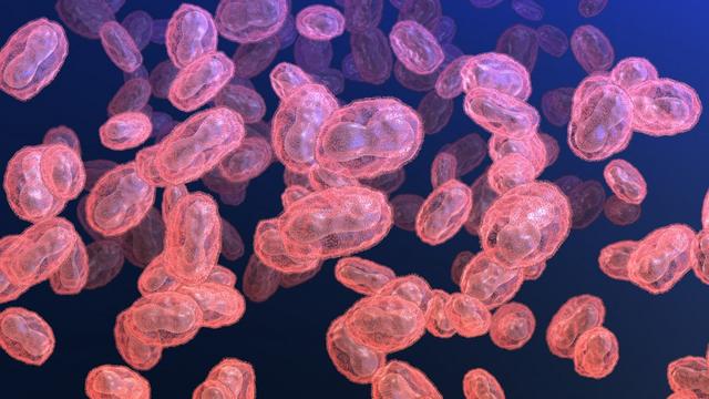 Des virus de la variole du singe (illustration). [AFP - TUMEGGY / SCIENCE PHOTO LIBRARY / MTT]