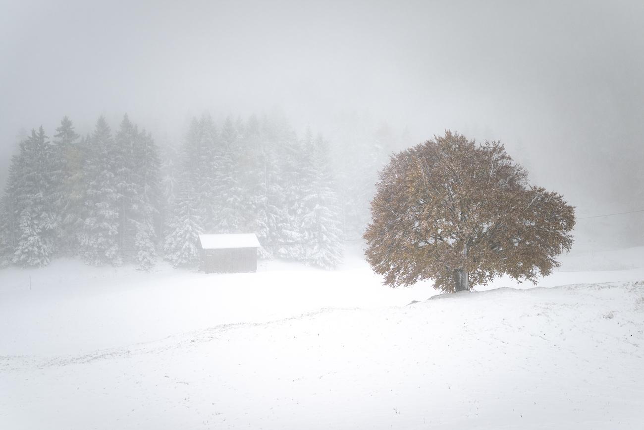 Une fine couche de neige recouvre le Sankt-Margrethenberg, dans le canton de Saint-Gall. [Keystone - Gian Ehrenzeller]