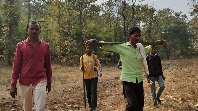 Dans la forêt qui borde le village de Rahu, les villageois reviennent d’une inspection et coupe de la plantation de bambous qu’ils entretiennent. [RTS - Sébastien Farcis]