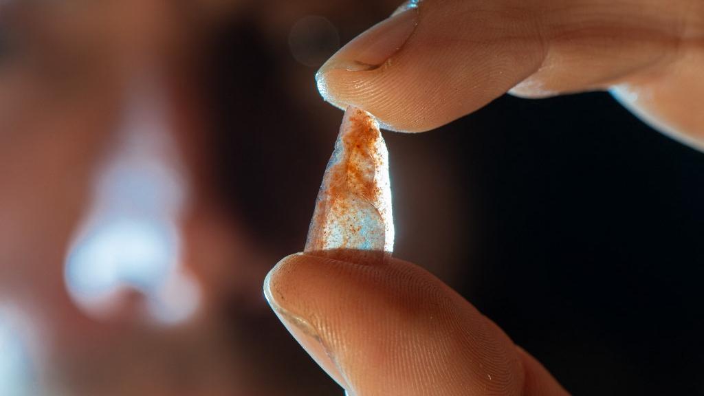 Une nanopointe néronienne trouvée dans la couche "E" de la Grotte Mandrin. Il y a 54'000, elle servait de pointe de flèche dans la France méditerranéenne. [AFP - Philippe Psaïla/Eurekalert!]